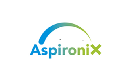 Aspironix – Finanční analytik